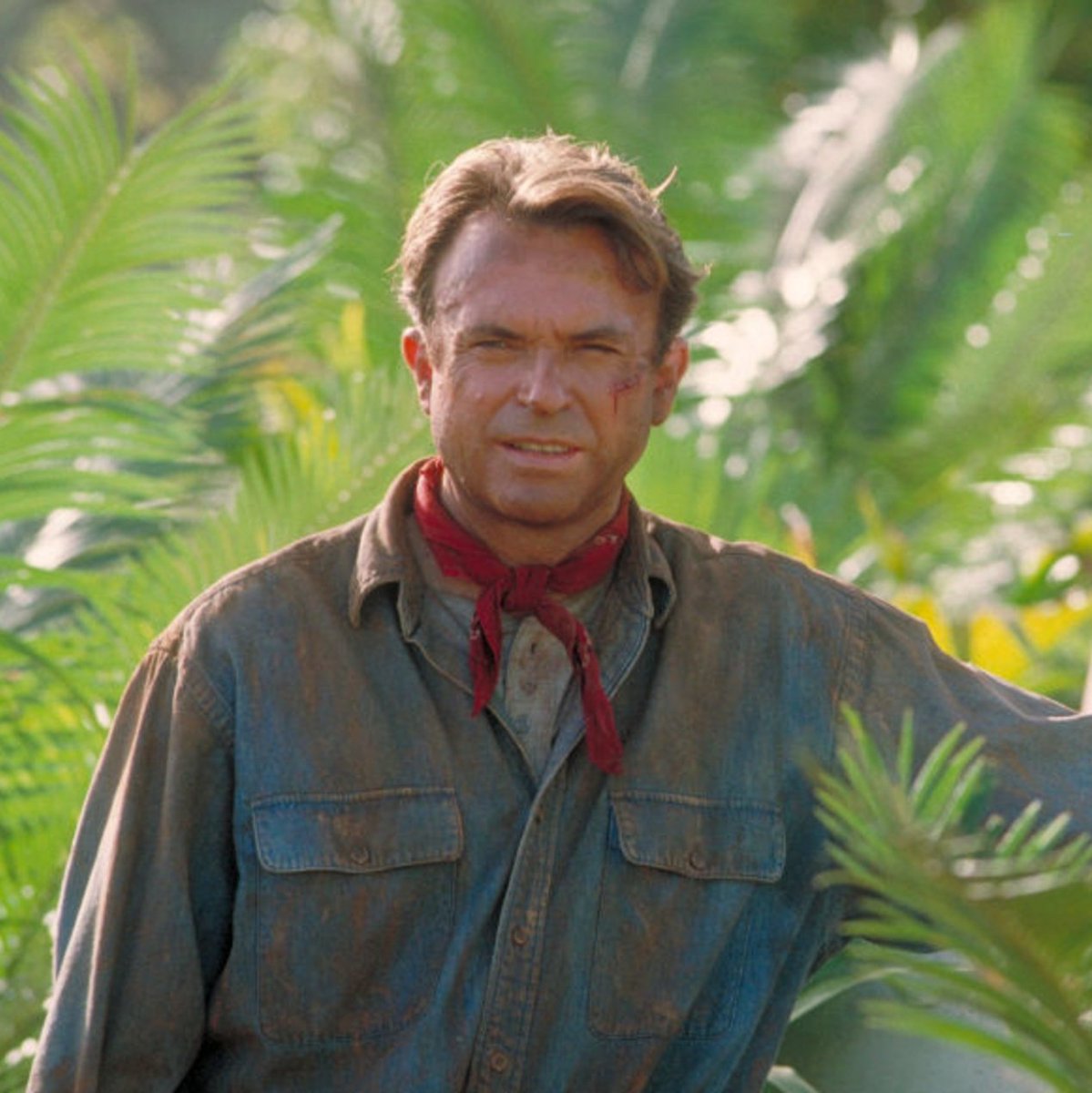 JurassicOutpost's tweet photo. Sam Neill has passed away at age 78

“It is with immense sadness that the whānau of Sam Neill share the news of his passing on Monday 13th July, in Sydney, Australia."

Rest in peace Dr. Alan Grant https://t.co/mc8O6quhW1