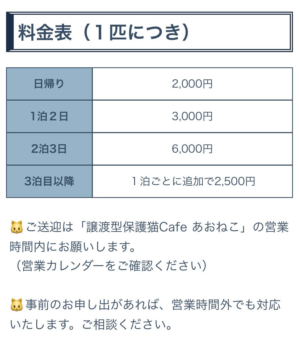 aoneko_cafe's tweet photo. 年始からずーーーーーっと言ってた新業種ですが、ようやくみなさまにお伝えできる段階になりました！

ねこちゃん専用小規模ペットホテル
【猫の宿 あおねこ】

7/15にオープンいたします！

なんとか夏休み前に間に合った〜💦 https://t.co/zeMbiZfG86