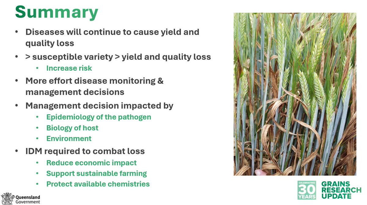 GRDCNorth's tweet photo. Resistance is increasing rendering some fungicides ineffective. Lisle Snyman @lisleQLD updates us on the resistance status in Queensland and how to protect our available fungicides into the future.
Paper: https://t.co/uYjXoYf3s0
#GRDCUpdates #Bell https://t.co/fotmBq7j6Z
