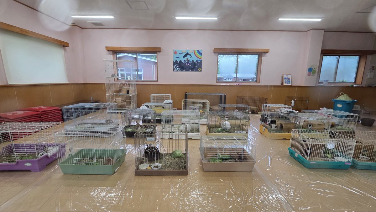 tarugahashi's tweet photo. 本日13日(月)〜16日(木)まで、小動物は休憩所たるるにてご覧いただけます🐰🐹⁡⁡
⁡湿度が高いため、窓ガラスが曇ってしまい少し見づらい場合があります。

※施設点検により、小動物ふれあい舎と休憩所たるるは入ることができません。⁡
#樽ケ橋遊園 #動物園 #胎内市 https://t.co/sE6NPEmVmA