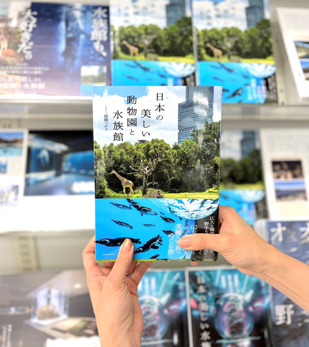cf_kushiro's tweet photo. 📚『日本の美しい動物園と水族館』発売！
釧路市動物園をはじめ、北海道内の動物園・水族館も掲載されています🦭店頭ではパネル展も開催中！
お出かけの参考にもぴったりの一冊です✨ https://t.co/YecQXO5hwz