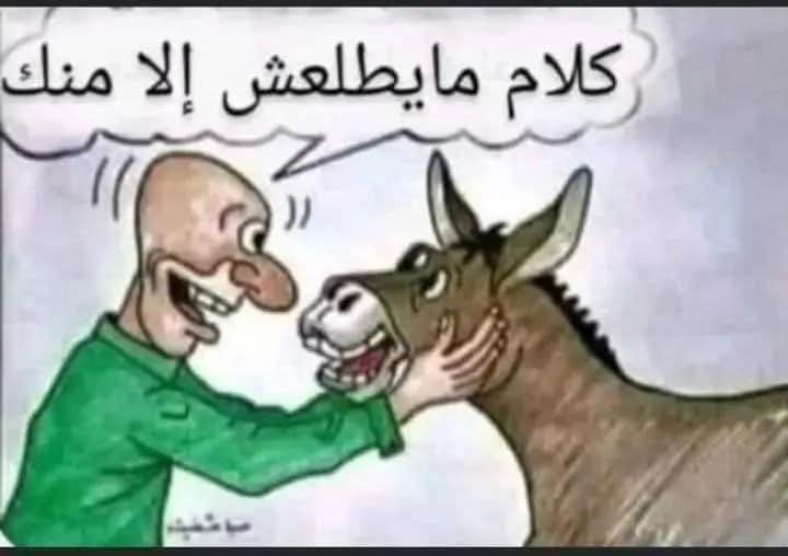 reda_5007's tweet photo. @Mohamed00168952 https://t.co/fFV2iDlDY7