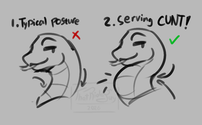 thatriolaguy's tweet photo. I love when snakes do this (2nd image) https://t.co/SAbYA0higL