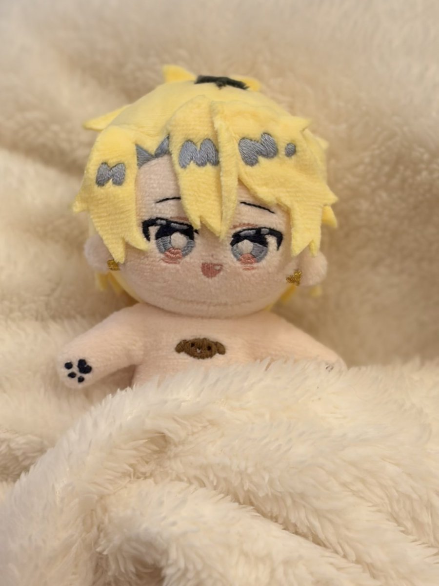 ぴよぴっこ🧸ぬいぐるみ系YouTuber🐤 (@piyopicco) / Posts / X