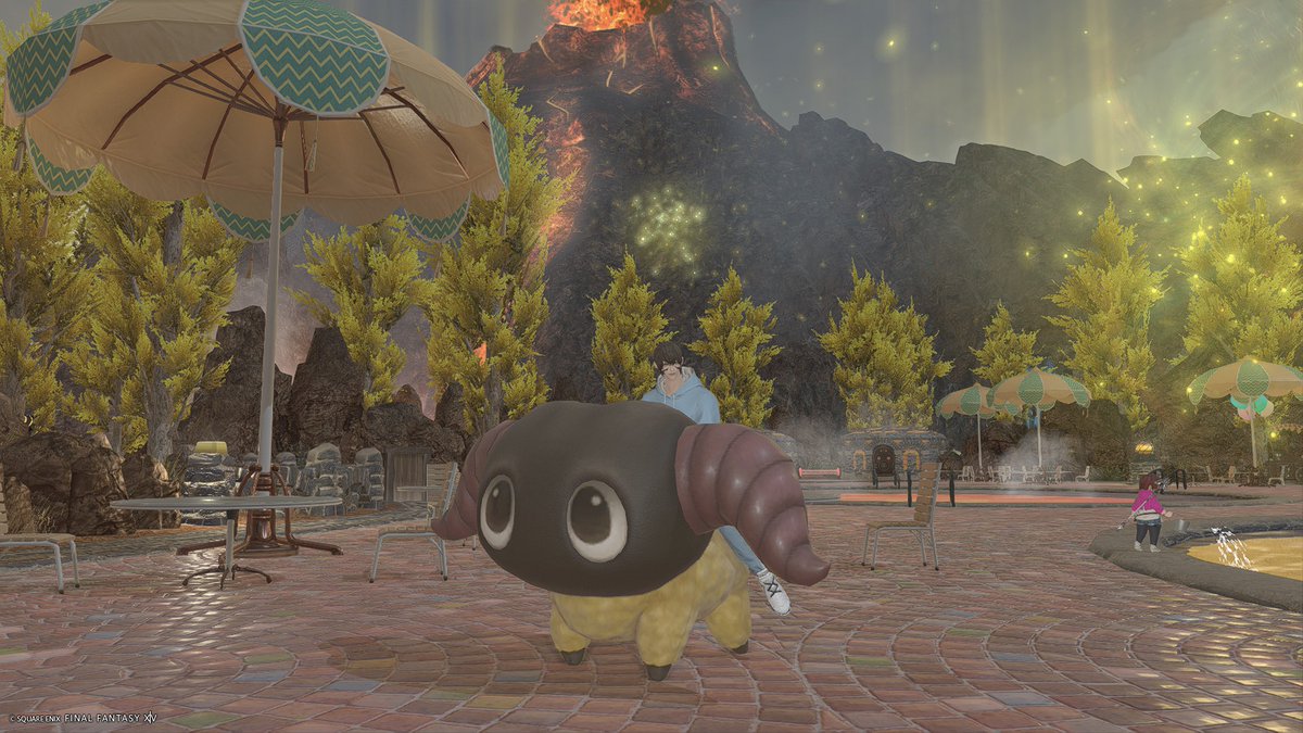 51244goldtree's tweet photo. #FF14 昨夜もローラさんの地図PTに参加してきました！普通の日もログインしようと思ったらできるんだけど何か会社から帰ったらゆっくりするサイクルになっちゃった💦
この間貰ったヤーンに乗ったSS、やっと撮れたw本当に呼び出した時の鳴き声？可愛い🤭 https://t.co/5xdYxcYKYK
