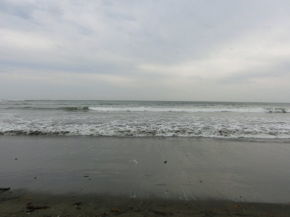 ibk_85's tweet photo. 昼の海と夜の海はまた違った景色
夜は吸い込まれそうになるような
幻想的 https://t.co/EAfqfwWQGl