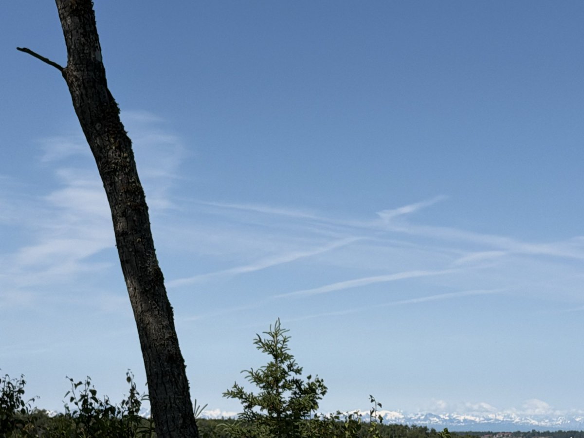 karahear's tweet photo. Kenai Alaska.  One clear day Friday for a while then this.  Hundreds of planes in the air yet only this was the start.  If truly vapor trails, the whole sky would be covered at all times., there is so much traffic. Then the frequency push to this.  They think we are stupid. And the sky was really not clear, high white haze that is hard to see until the frequency manipulation.