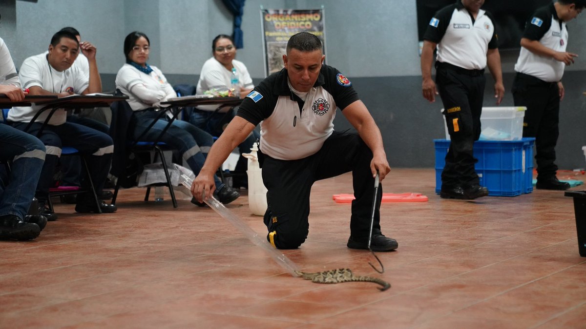 CvbEnb's tweet photo. Veintidós semanas de preparación fortalecen a los aspirantes de la Escuela Nacional de @BVoluntariosGT. El Mayor @edgarsaenz010 dirige un proceso académico actualizado y la Oficial Mónica González coordina una formación moderna para preparar bomberos altamente capacitados. https://t.co/bLOMexqXk5
