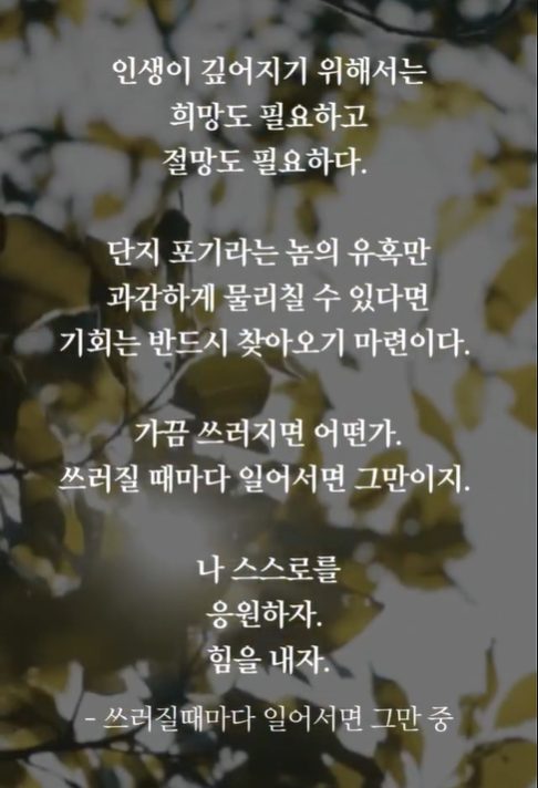 좋은 글♡하루 보내기 tweet media
