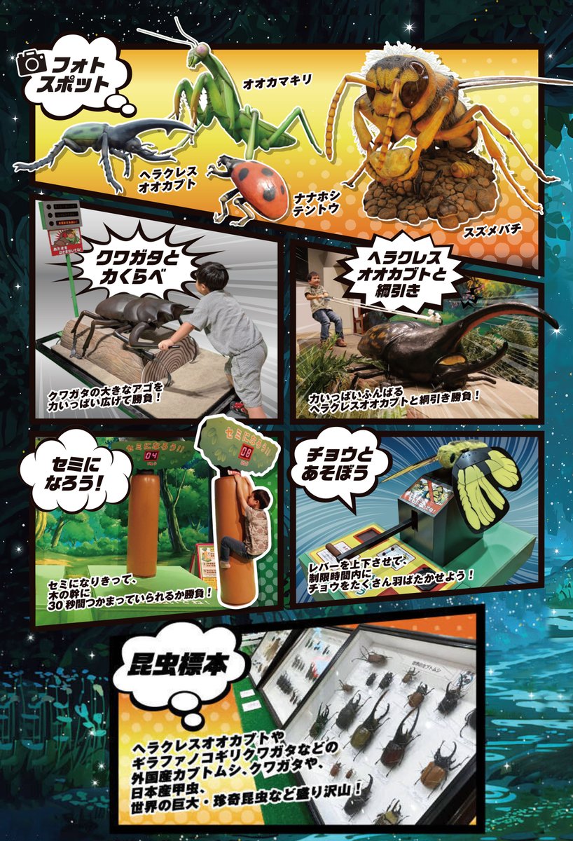 ココロ【公式】 (@kokoro_dreams) / Posts / X