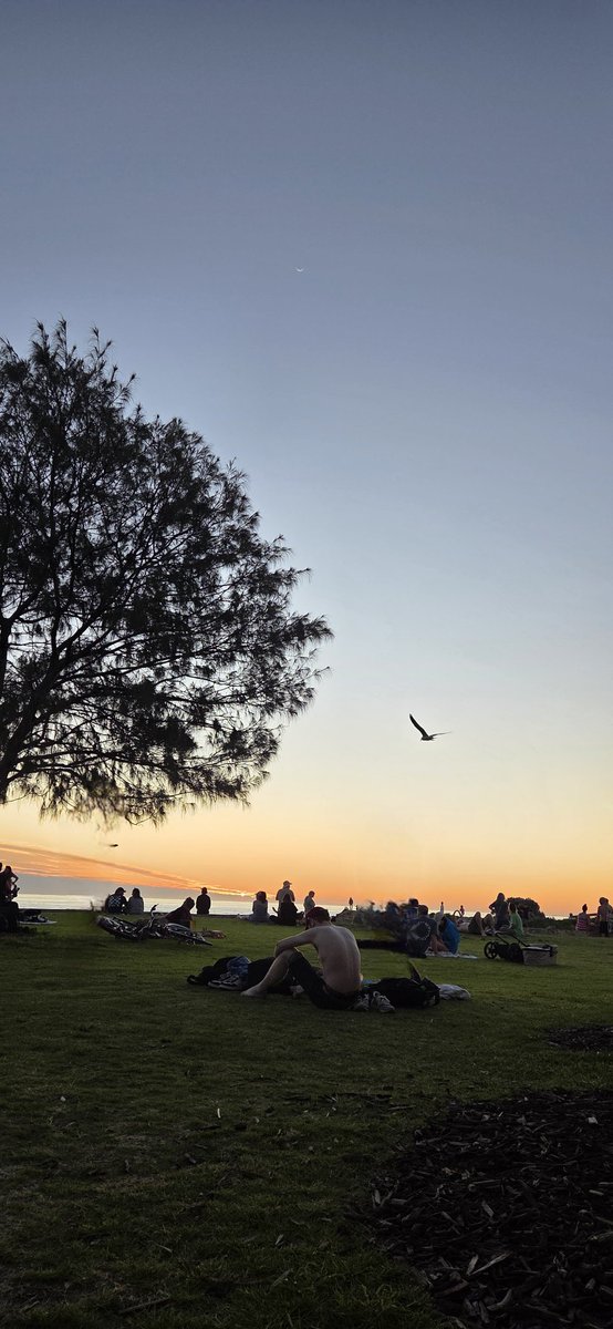 hestilidya's tweet photo. Alasan tinggal di Australia:
1. Jogging tanpa gangguan catcaling
2. Work-life balanced (they took it seriously)
3. Lots of free attractions: parks, waterfalls, hiking places, beaches (pajak yg kembali untuk rakyatnya bestie✨️)
Not to mention no pollutions and breathakingly view https://t.co/Az004lBSXt