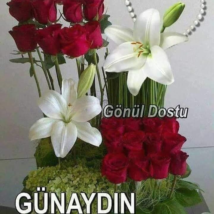Serdarates67332's tweet photo. @tugba_gune38171 Kayseri den masör arayışı olan bayanlar ve evli ciftler https://t.co/akQAIEtJt0