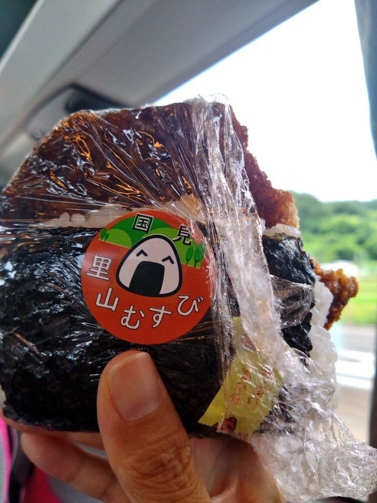 もぐもぐ おにぎりと夜行の時は見られないお外を見ながら