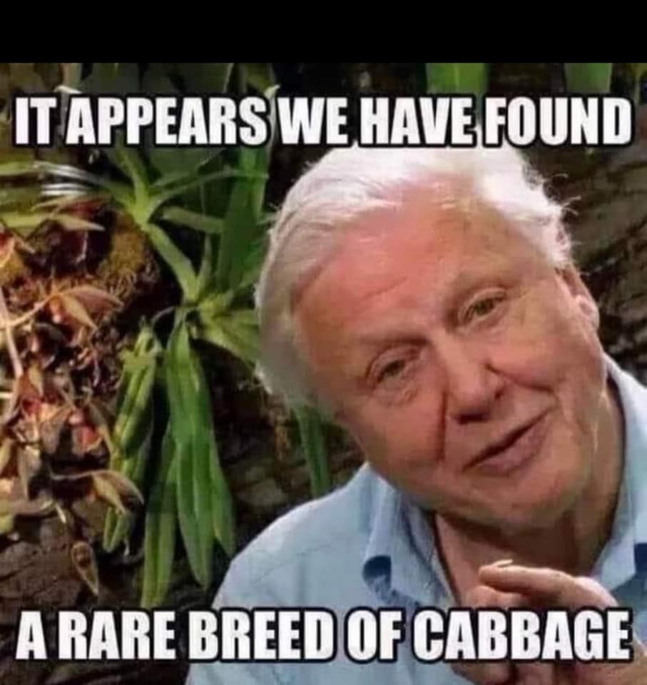 😂 Michael Cavanagh 😂 tweet media