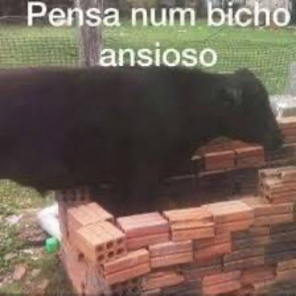 swftgarden's tweet photo. Não consigo dormir pq eu só consigo pensar no Harry https://t.co/qck65DtBnq