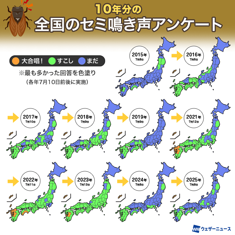 wni_jp's tweet photo. 【セミ調査】
初鳴き時期を決める最大の要因は「気温」でした。

気温上昇に伴うセミの初鳴きの早期化、温暖化と都市化の影響で分布を拡大しつつあるクマゼミの動きなど、国立環境研究所やウェザーニュースの10年分のデータから見えてきたセミの最新調査結果をお届けします。
https://t.co/XQsq7hkuHE https://t.co/Kr0tafAbke