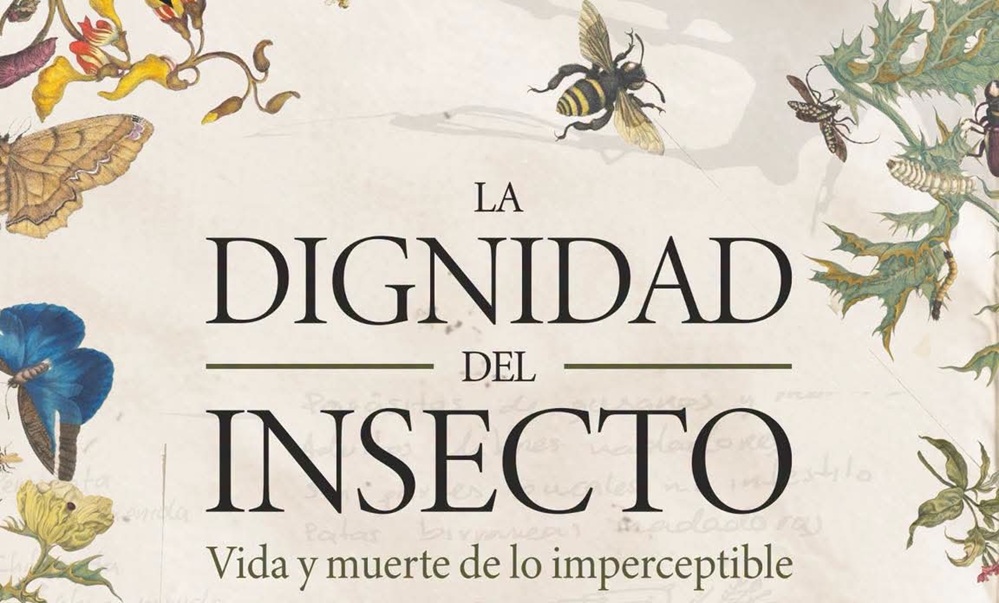 PaginaZeroMx's tweet photo. La dignidad de los insectos llega al escenario para reflexionar sobre la crisis ambiental
La puesta en escena de @teatrounam expande la experiencia teatral con un pódcast y avistamientos de insectos para acercar al público a una ética del cuidado ambiental
https://t.co/X0jMfZcnFM https://t.co/j2avueQ63H