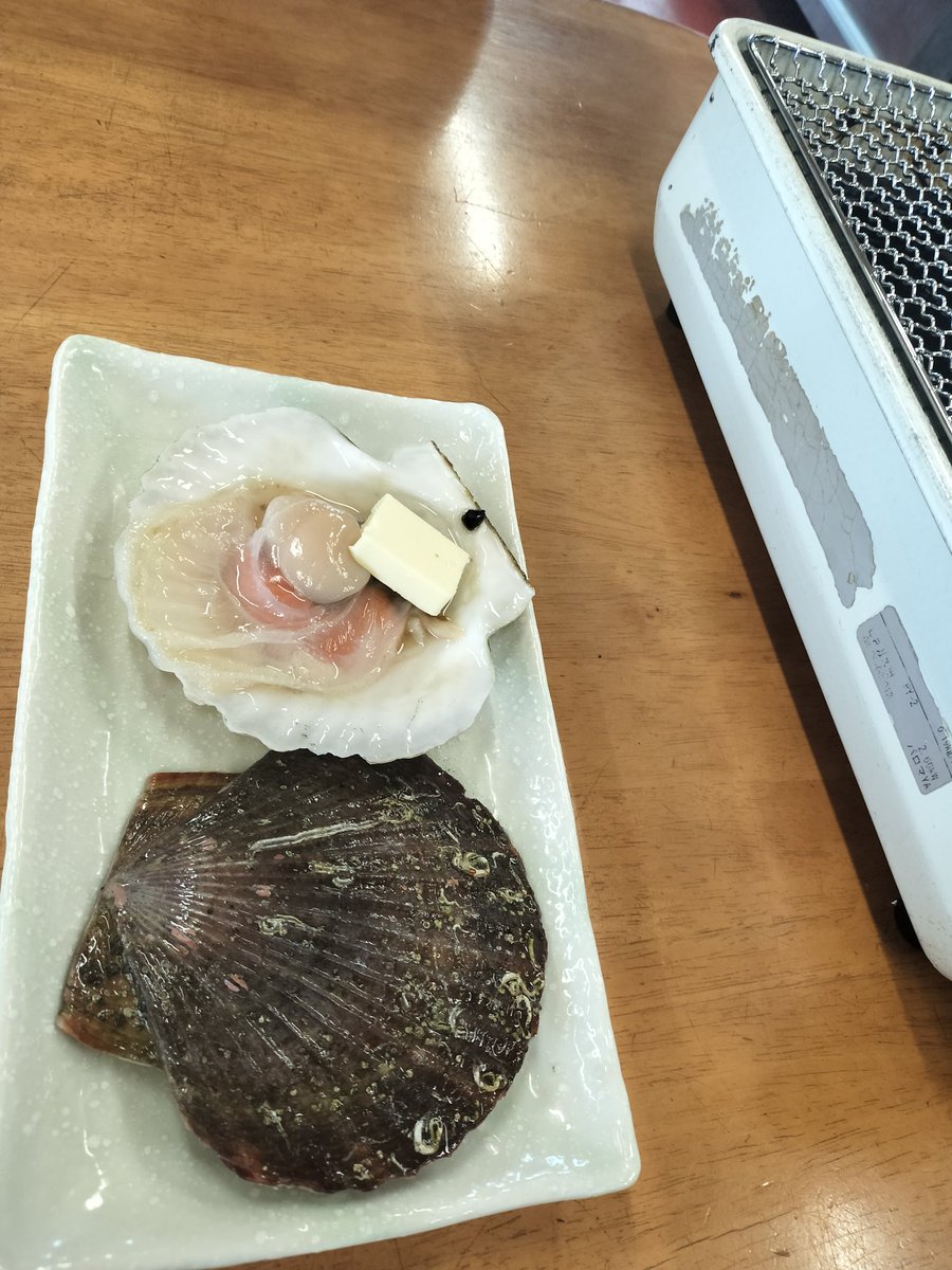 plam_daira's tweet photo. 九十九里うおw https://t.co/NkVUMwyrFe