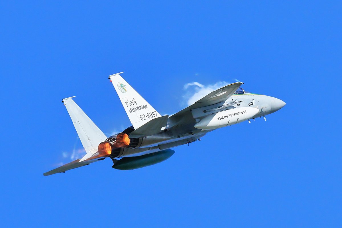 RSK11AK's tweet photo. #F15からしか得られない栄養素 https://t.co/cqFW8P8oNx