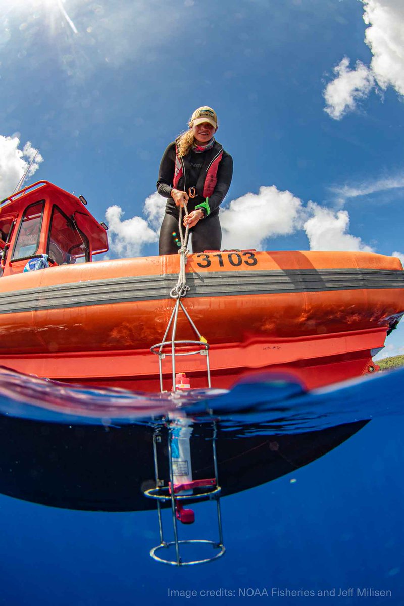 rbr_global's tweet photo. Choosing a CTD isn't just a spec-sheet exercise -it's the first big decision that shapes everything your data can tell you later. We have therefore put together a practical guide: https://t.co/1fQCOuc4fv #RBRglobal #measuretheblueplanet #Oceanography #MarineScience #argo #gliders https://t.co/RQOXjpVhmp