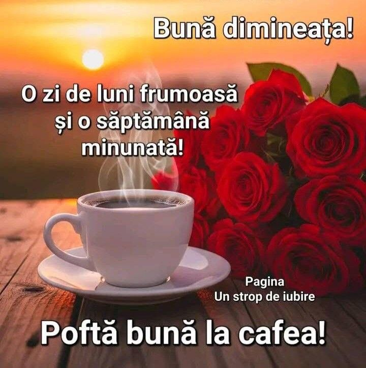 mircea2295's tweet photo. https://t.co/glbHPJSzRk