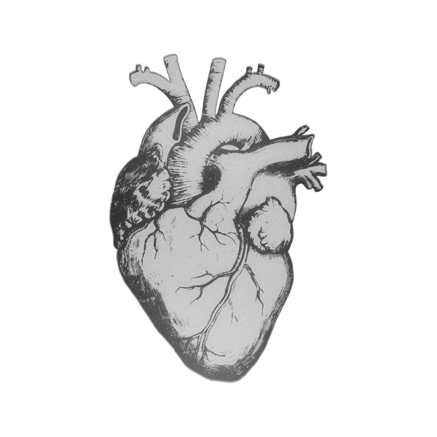 ᅟᅟᅟᅟ ⁎ ╱ 𝐬𝖠𝑒ʳ𝒜 . 𐕣 tweet media