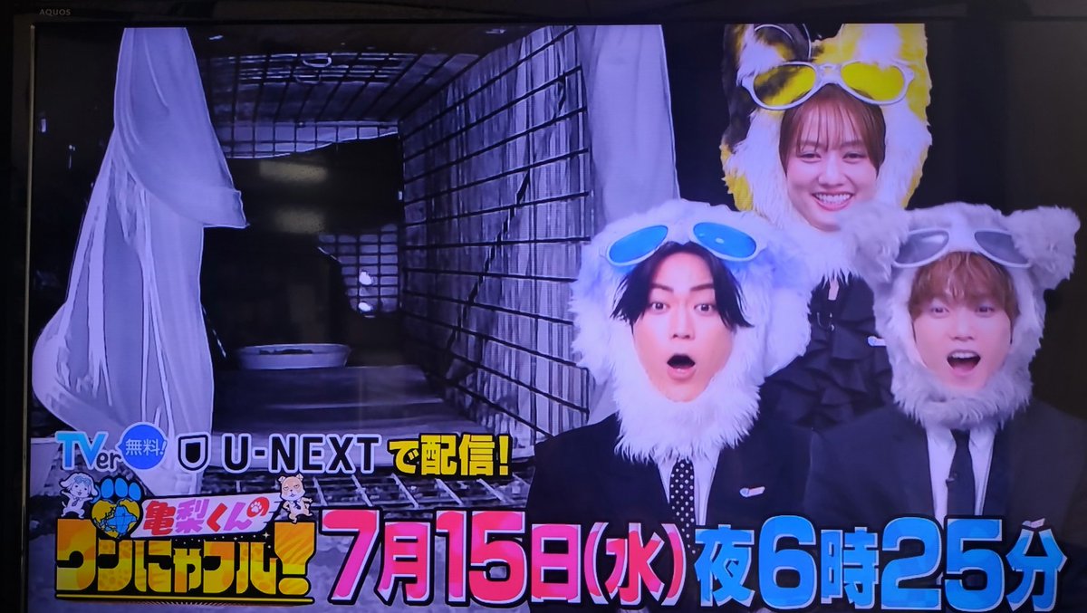 kame_setsu223's tweet photo. お仕事から帰ってお昼食べながら録画確認していたら
#亀梨くんのワンにゃフル
7月15日！
録画出来てた　🐶🐱🐢
#亀梨和也　亀梨くん
#木村柾哉　くん
2人、可愛い〜な〜💕
楽しみ〜 https://t.co/w0XnYuWMeI