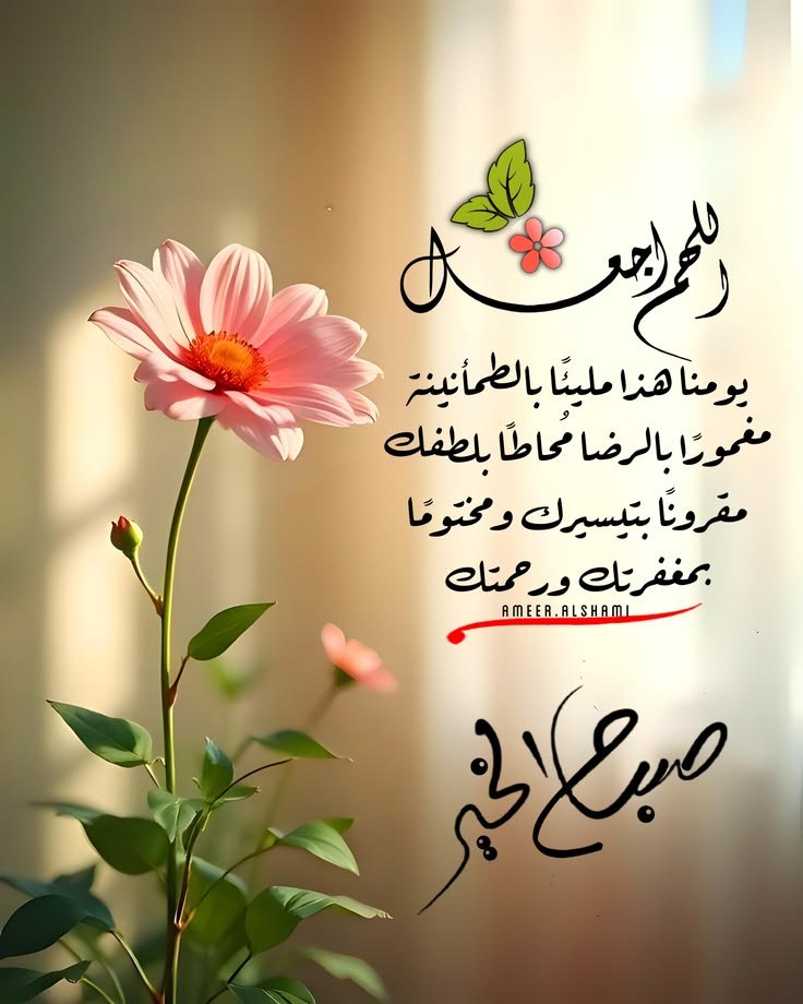 allsaleh's tweet photo. @ALali6002 https://t.co/N705Bi0n1y