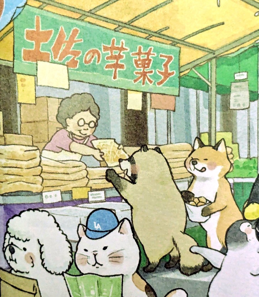 6月のだけども #JAL さんの機内誌にたぬき！ きつねと仲良くしとるの