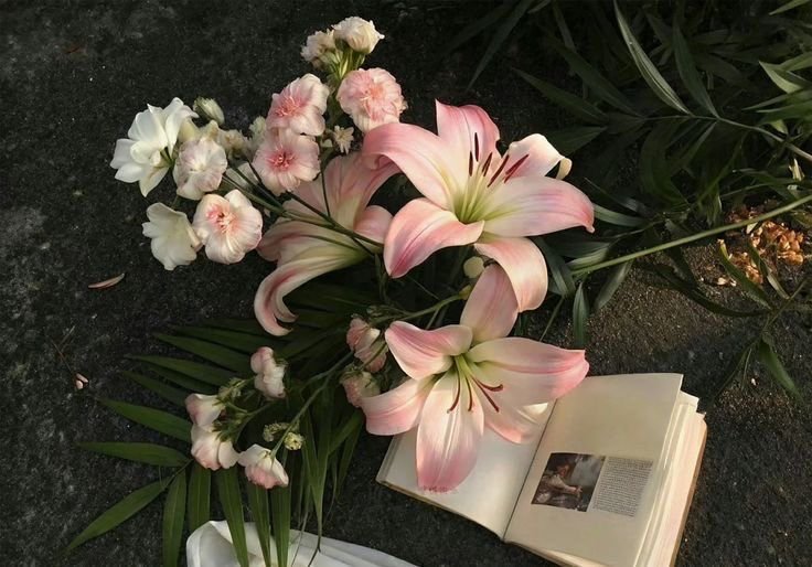 flowersplanettt's tweet photo. https://t.co/0bjh6SAPFq