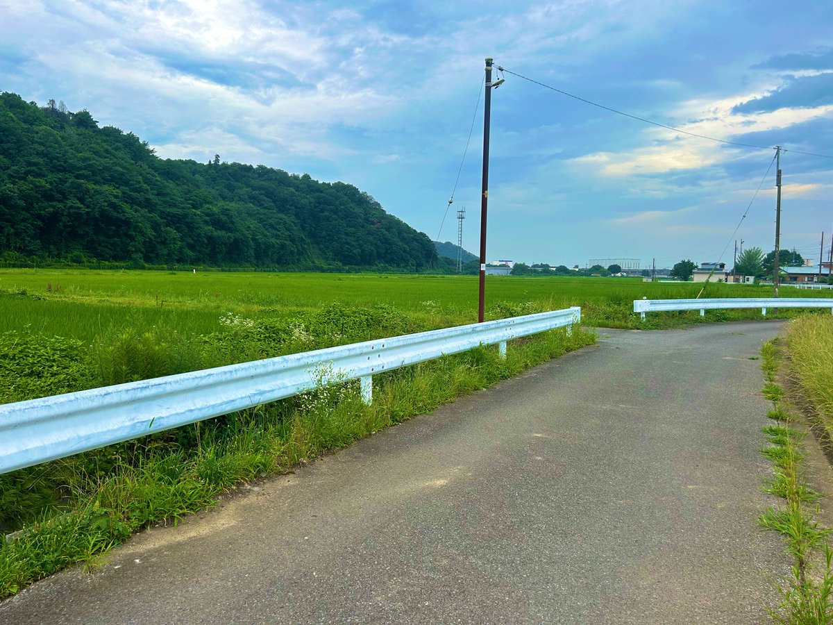 cider1999119's tweet photo. お散歩はこういう道が好きだ https://t.co/UMRiUoSnmS