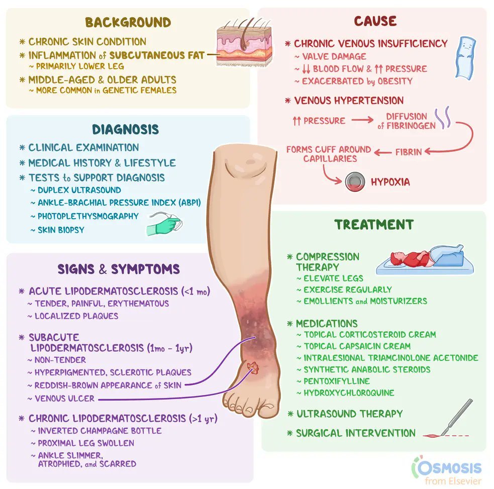 CardiovascularCorner tweet media