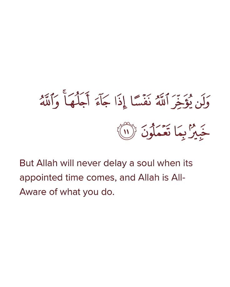Muslim__Ummah_'s tweet photo. https://t.co/llVInGRfkk