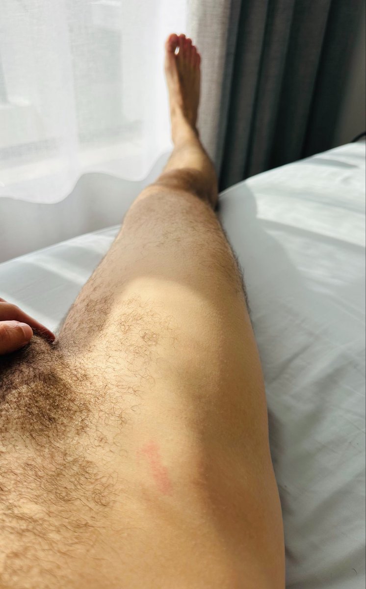 Ricky45242340's tweet photo. Applications open for cuddles &amp; more https://t.co/s4uLmI3ihi