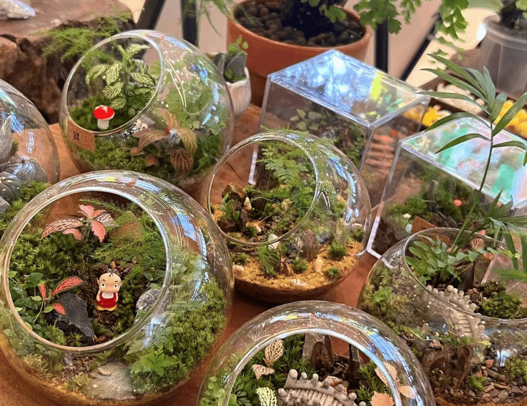 oska1114's tweet photo. Just upcycled an old mason jar into a tiny plant terrarium  super easy DIY for home decor! #DIYCrafts ， https://t.co/yxowU0g04k
