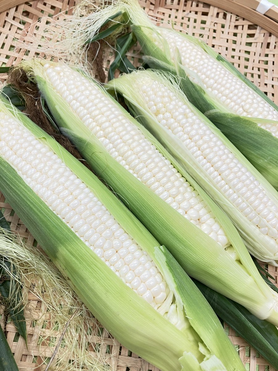 7/13(月)13:30現在 ピュアホワイト販売中です🌽 ぜひご来店ください✨
