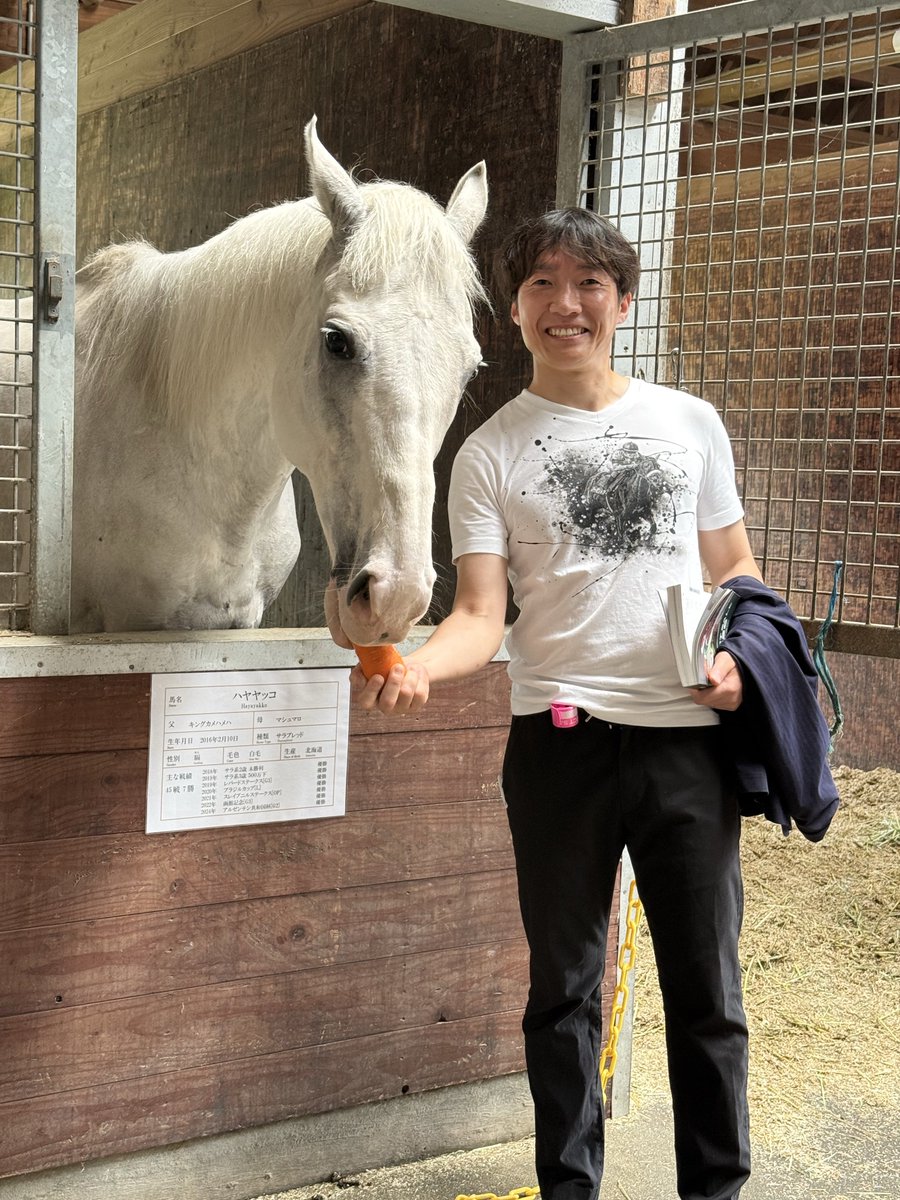 hideo_Almond9's tweet photo. セレクトセールの合間に
 #ハヤヤッコ に会ってきました🐴
現役時とは違って大人しくなってて
ようやく大人になった感じです🤣
元気そうで良かった🥰
 #セレクトセール2026 https://t.co/W4zBo9sGNJ