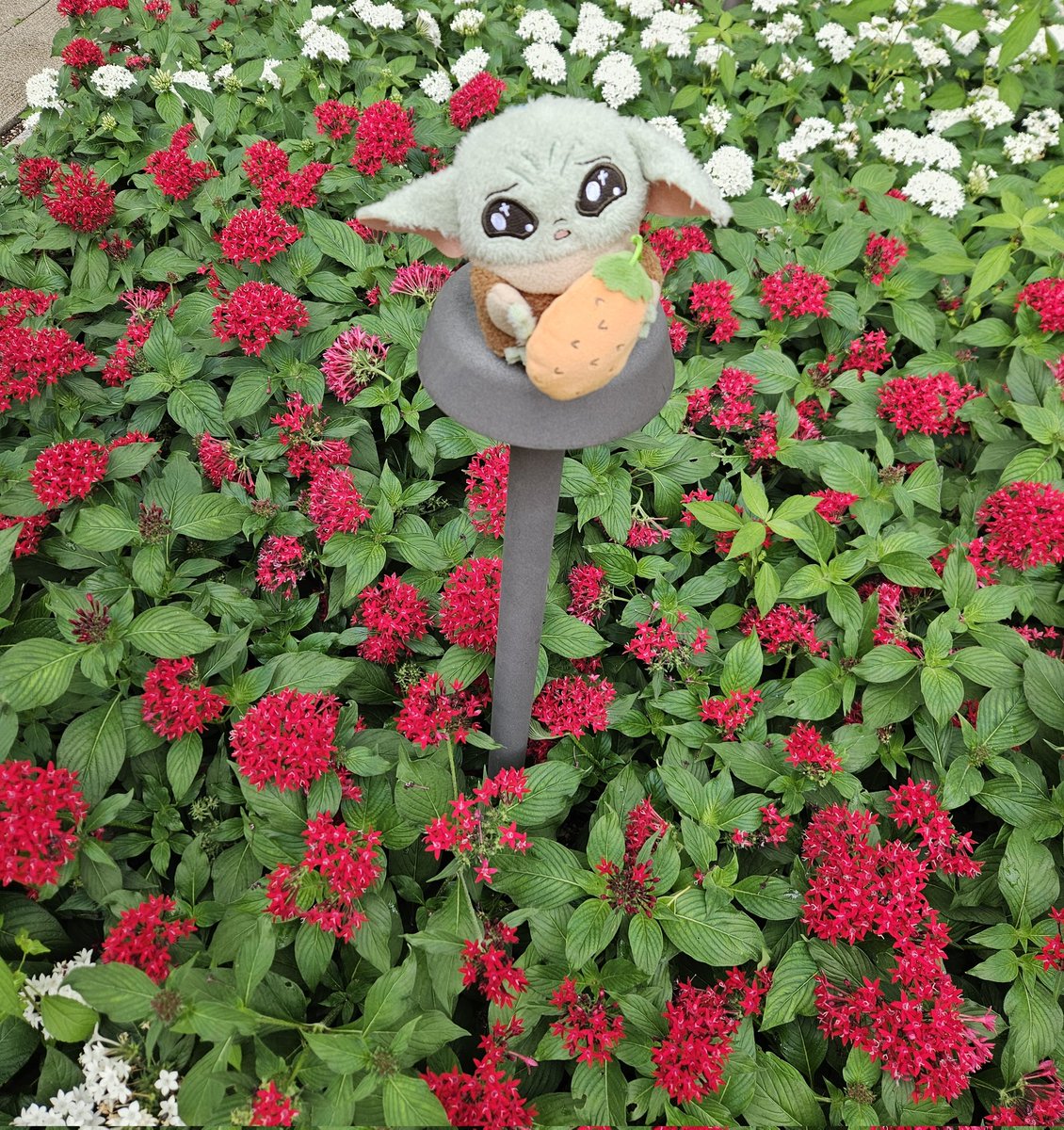 ぐろぐちゃんのお通販、もう何が欲しいかも分かんなくなってきた