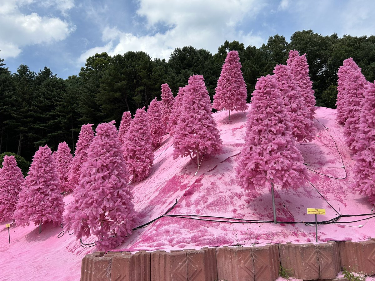 irohakpop's tweet photo. ポチョン ピンク・ハーブアイランド🌿
ピンクの砂💕 https://t.co/S82vuQzut9
