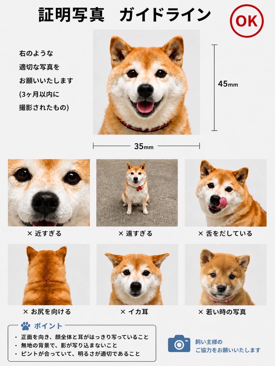 diary09998120's tweet photo. 「証明写真」の撮り方☆
プレゼントしてもらった~♪🐕
#柴犬 https://t.co/iURUSi0PAD