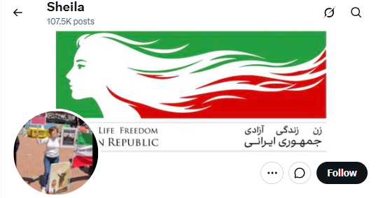 دن کیشوت tweet media