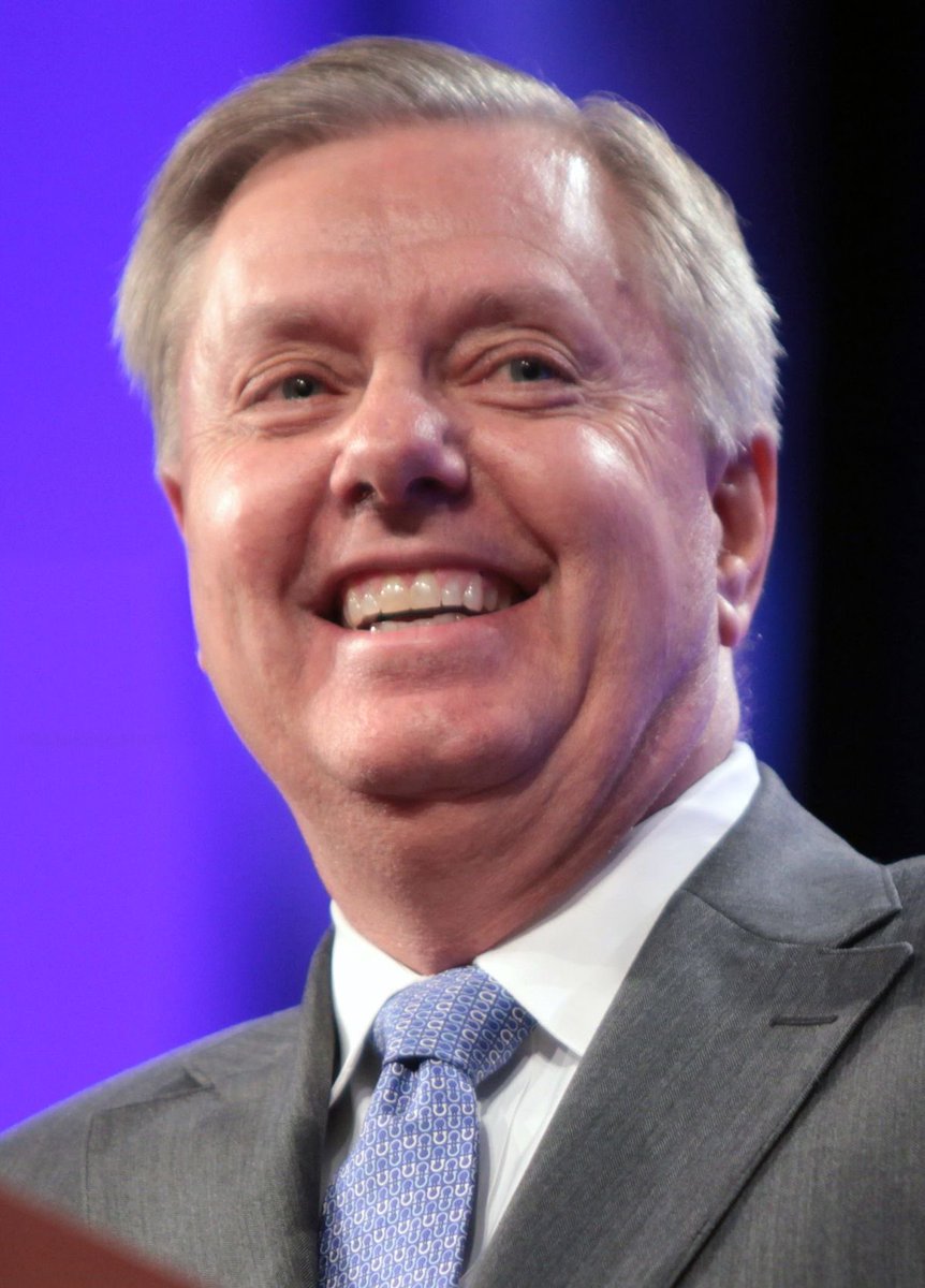 perlinaino's tweet photo. If you respect Lindsey Graham, drop a ❤️🇺🇸 in his honor. https://t.co/RZG41ww5EM