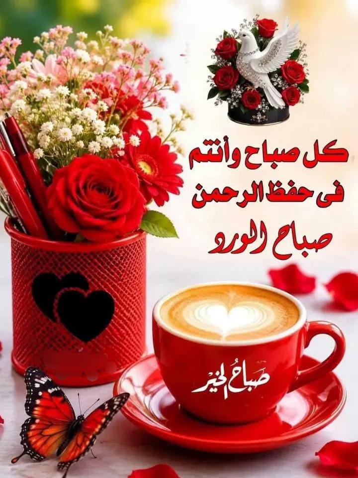 alsaaadi18's tweet photo. @rashid29634182 https://t.co/iP6G5SzwgP