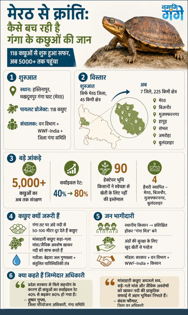 cleanganganmcg's tweet photo. 118 कछुओं से शुरू हुआ एक अभियान... आज बन चुका है 5000+ कछुओं की जान बचाने वाली क्रांति!
मेरठ के हस्तिनापुर स्थित मखदूमपुर गंगा घाट से शुरू हुई यह पहल आज गंगा किनारे 7 जिलों - मेरठ, बिजनौर, मुजफ्फरनगर, हापुड़, संभल, अमरोहा और बुलंदशहर तक फैल चुकी है।
सबसे खास बात? किसानों ने खुद आगे आकर करीब 90 हेक्टेयर ज़मीन पर खेती छोड़ दी। सिर्फ इसलिए ताकि कछुओं के अंडे सुरक्षित रह सकें। वन विभाग ने इन्हें "गंगा मित्र" का दर्जा दिया है।
नतीजा सामने है। कछुओं का सर्वाइवल रेट 40% से बढ़कर 80% हो गया।
क्यों जरूरी हैं ये कछुए? गंगा में छोड़े गए मांसाहारी कछुए सड़े-गले मांस और जैविक कचरे को खाकर नदी की प्राकृतिक सफाई करते हैं, यानी बिना कछुओं के गंगा उतनी साफ नहीं रह सकती जितनी हम चाहते हैं।
उत्तर प्रदेश सरकार, वन विभाग और WWF-India के साझा प्रयास से चल रहा यह मॉडल अब सिर्फ मेरठ की नहीं, पूरे पश्चिमी उत्तर प्रदेश की पहचान बन गया है।
#GangaConservation #कछुआसंरक्षण #Meerut #उत्तरप्रदेश
@theupindex @DmMeerut