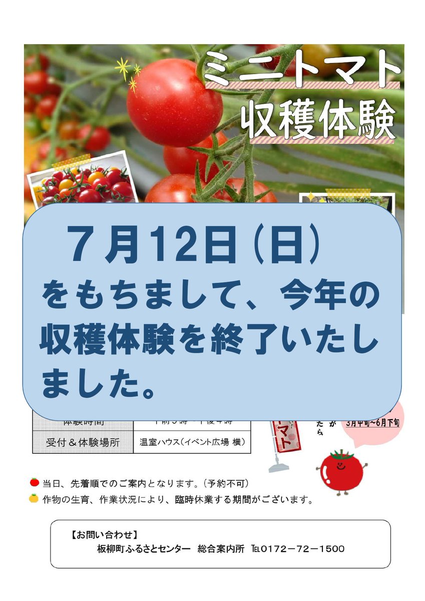 ita_furusen's tweet photo. 【🍅お知らせ】  
７月１２日（日）をもちまして 
今年のミニトマト収穫体験を終了いたしました🥺 

今年もたくさんお客様にご利用いただき
ありがとうございました🥰🙏❤️  

これから来年の収穫に向けて 
播種（種まき）、育苗の作業に入ります🌱💦✨  

来年の３月までしばらくお待ちくださいませ🙇 https://t.co/bXPpLemg6i