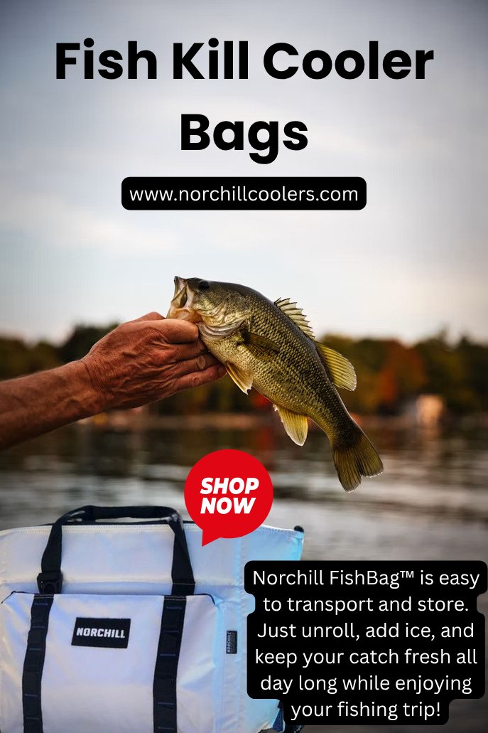 NorchillCoolers's tweet photo. The BoatBag marine cooler bags are versatile enough to function not only as general-purpose food &amp; drink #coolers but also as #fish #kill #bags. With its compact &amp; roll-up design, the FishBag is easy to transport &amp; store. Just unroll, add ice &amp; keep your catch fresh all day long. https://t.co/9ISV4hqxUu