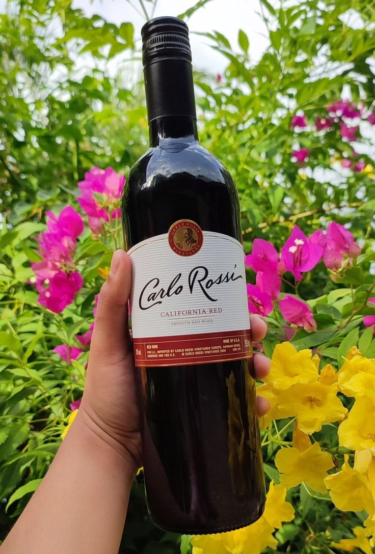 shikemisayo's tweet photo. PRODUCT: Carlo Rossi California Wine🍷
VOLUME: 750ml
TYPE: RED WINE 🍷
ALCOHOL VOLUME: 11.5%

🍷 Carlo Rossi California Red 75 cl is a fruity red wine with a floral hint and a crispy taste. 
🍷 California red wine is a blend of various grape varieties from vineyards in the central valley.
🍷 Carlo Rossi Red wine has a rich taste of sweet red fruit that is well balanced and light.
😋 This sweetened red wine is carefully crafted with passion and quality.
       Send a DM to place your order!
                    📍ABEOKUTA