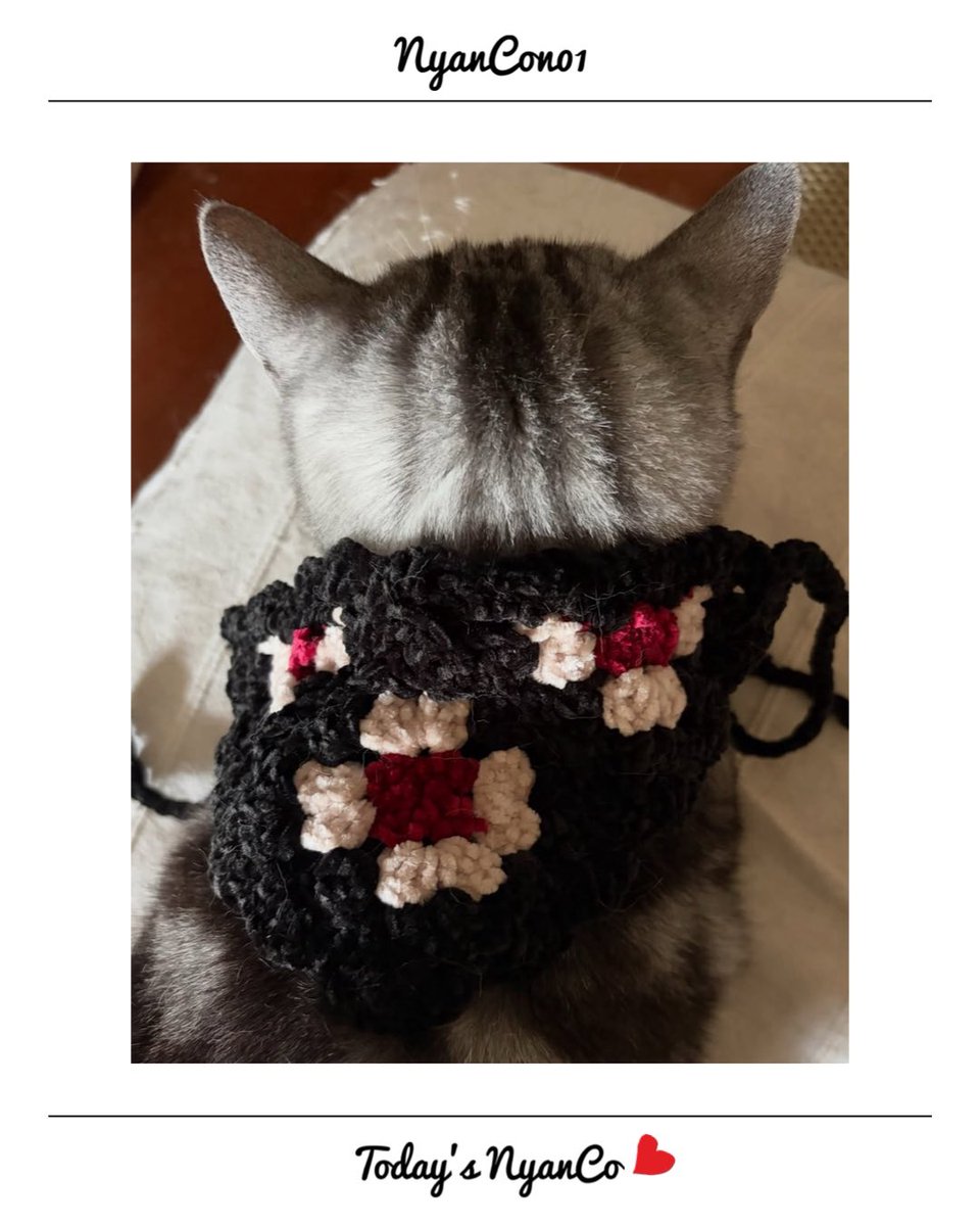 NyanCon01's tweet photo. 今日のニャンコ♡ 

#nyancon01
#cat https://t.co/zDwFOaG7Vg