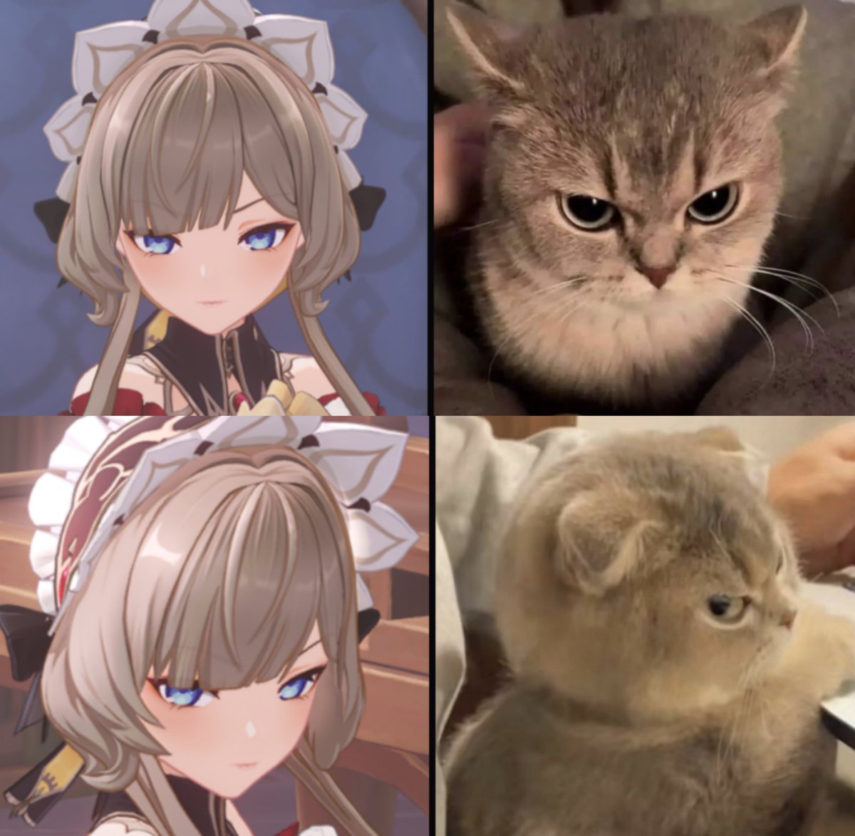 teyvattabloid's tweet photo. she looks like an angry cat

©️ u/monoprixlavie

#Genshinlmpact #Genshin #GenshinMemes https://t.co/MS402dbl8R