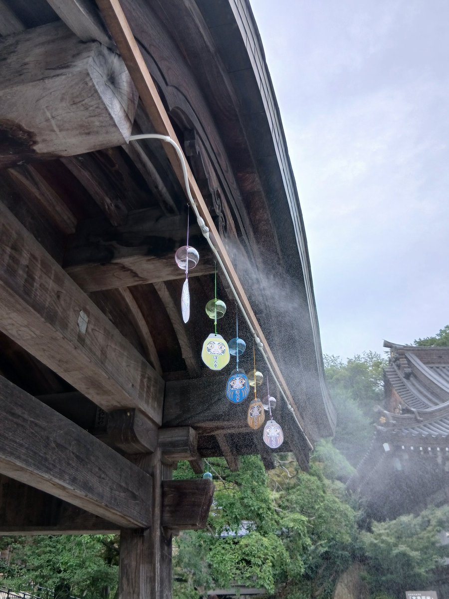 hiroa_kitamura's tweet photo. #御朱印
#深大寺
熱中症対策のミストが心地よかったです。 https://t.co/jeekWwANrV